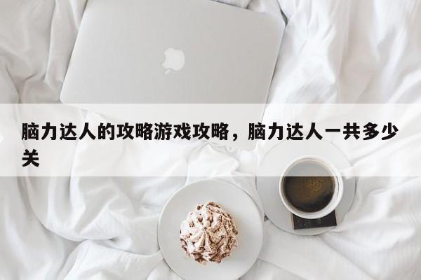 脑力达人的攻略游戏攻略，脑力达人一共多少关