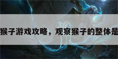 观察猴子游戏攻略，观察猴子的整体是什么