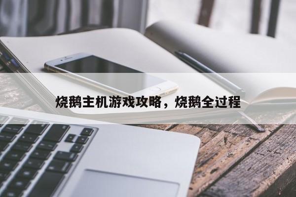 烧鹅主机游戏攻略，烧鹅全过程