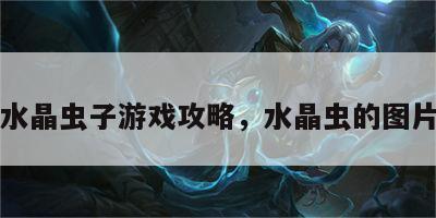 水晶虫子游戏攻略，水晶虫的图片