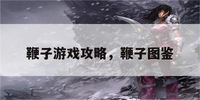 鞭子游戏攻略，鞭子图鉴
