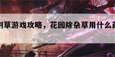 花园割草游戏攻略，花园除杂草用什么药效果好