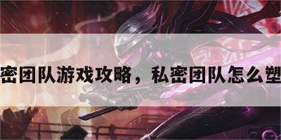私密团队游戏攻略，私密团队怎么塑造