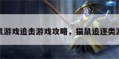 猫鼠游戏追击游戏攻略，猫鼠追逐类游戏