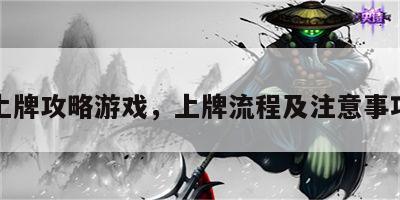 上牌攻略游戏，上牌流程及注意事项