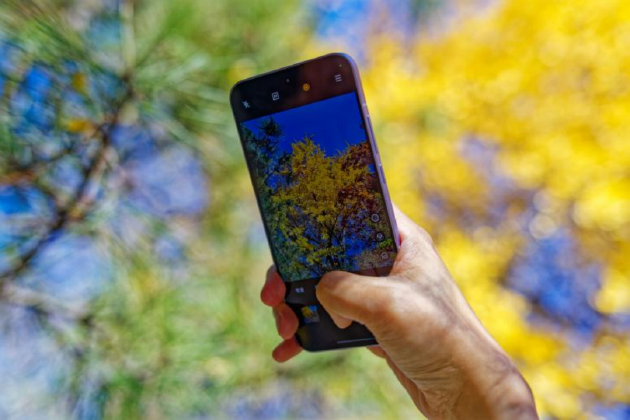 OPPO Reno13 系列体验：果味十足颜值出众，实况照片实力出圈