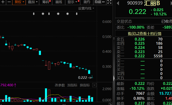 又一家，有退市风险，汇丽B股价跌停！
