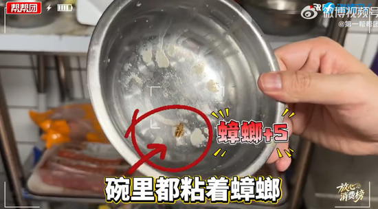 知名餐饮品牌牛约堡被曝后厨蟑螂横行！成本5元汉堡卖15元，加盟合作费88000元